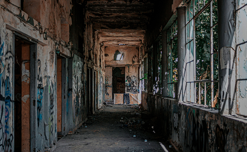 Mold Remediation